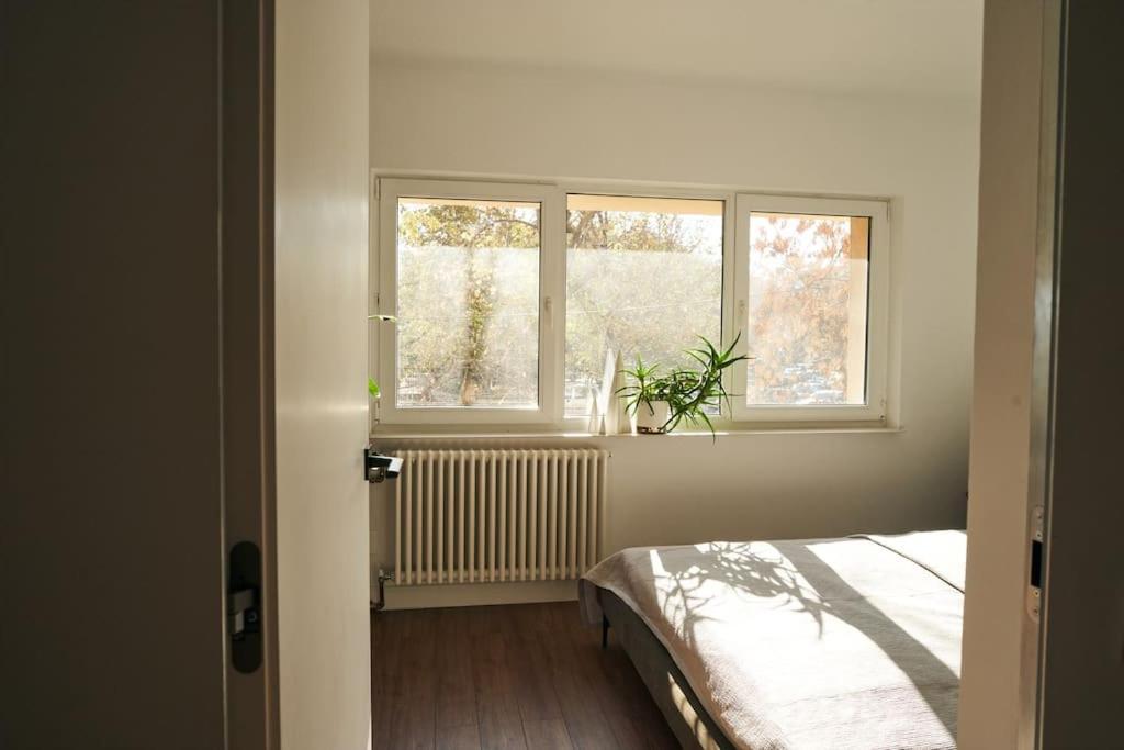 Ultracentral Two Rooms Apartment In ブカレスト エクステリア 写真